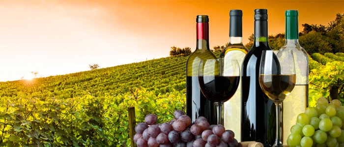 vini-delle-migliori-cantine-italiane-prezzi-unici