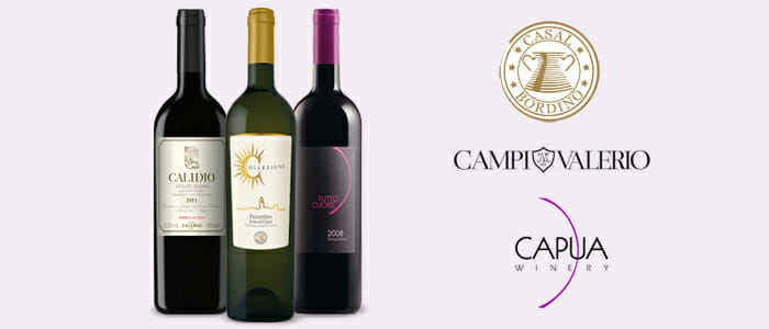 Vini Casalbordino, Capua Winery e Calido