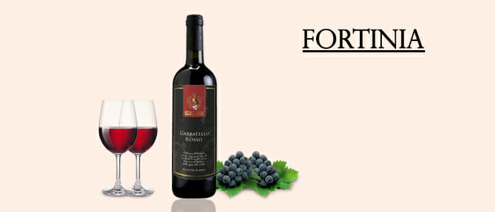 Fortinia: vino Garbatello Rosso