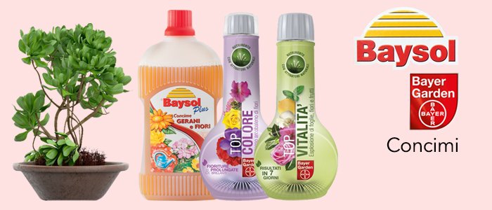 Bayer Baysol Concimi per piante e fiori