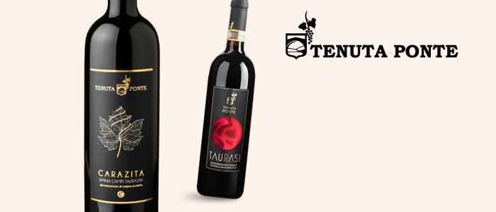 Tenuta Ponte: vini bianchi e rossi